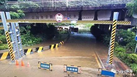 说说家里的那个吃瓜群众,揭秘家庭生活的趣味观察者