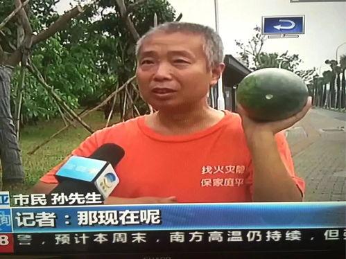 魏县吃瓜群众事件