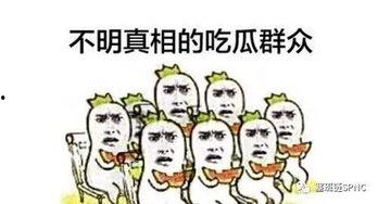 吃瓜群众看别人吵架,一窥人际冲突的众生相